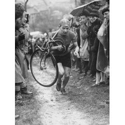 Andre Fauvel