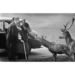 Churchill In Richmond Park