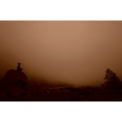 Silhouette of a person practicing yoga on a rock, Russia