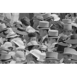 Ascot Fashion