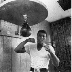 Ali In Training