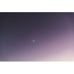 Half moon on the pink rose sky in Northern France