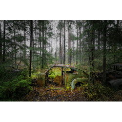 Rusty abandoned car in forest