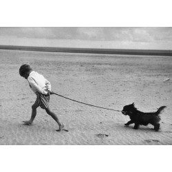 Walking The Dog