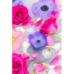 Fresh summer flowers in water