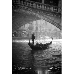 Grey gondoliers.