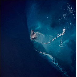 STS-91 Earth Observations