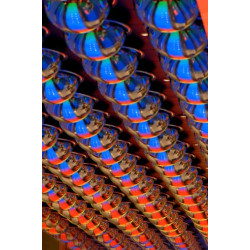 Reflective Balls