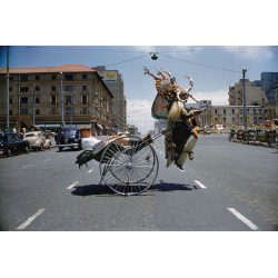 Rickshaw, South Africa