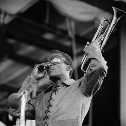 Miles Davis at Newport Jazz Festival