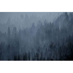 Rising Smoke, Angora Ridge