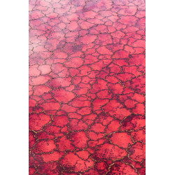 Lake Natron, Tanzania, Africa