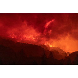 Forest Inferno (Creek Fire)