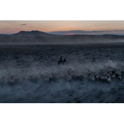 Shepherd and Flock (Karapinar)