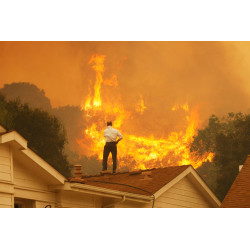 Rooftop (Springs Fire)