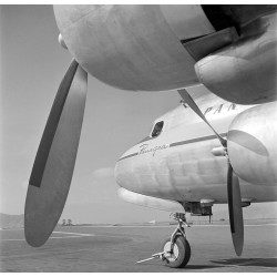 Pan American Grace Airlines