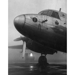 Stranded Viking