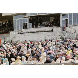 Royals At Ascot
