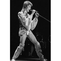 Ziggy's Last Gig