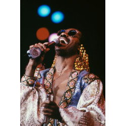 Stevie Wonder