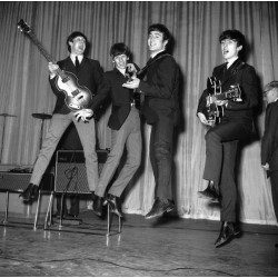 Leaping Beatles