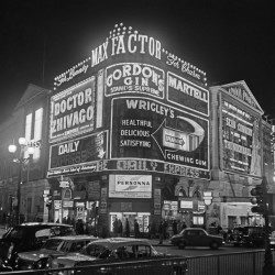 Piccadilly Circus