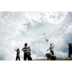 KIDS FLY KITES