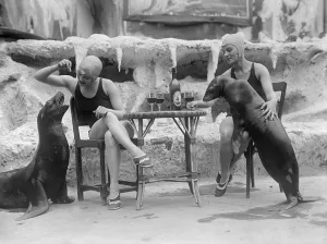 Animal Friends, 1931