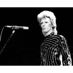 Ziggy Stardust