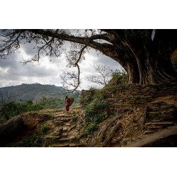 Earthquake Survivor (Kathmandu)