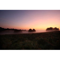 Richmond Park