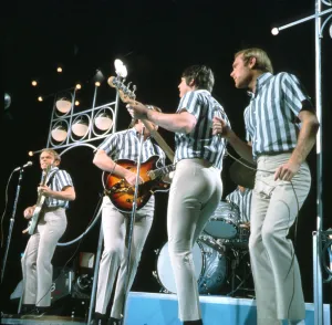 The Beach Boys, 1965
