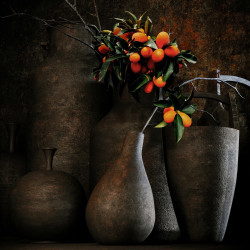 Calamondin