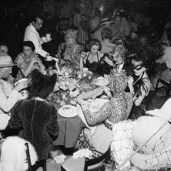 Safari Party