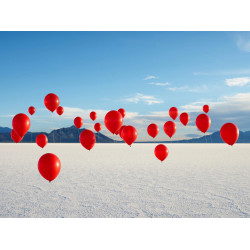 Group of Red Balloons on Salt Flats