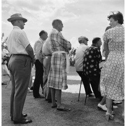 Golf Spectators
