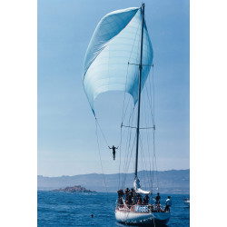 Spinnaker Sailing