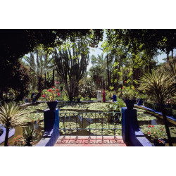 Majorelle Garden