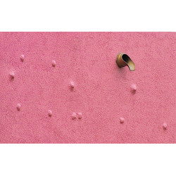 Pink Bumpy Wall