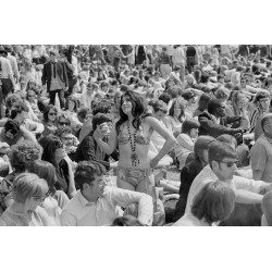 The Stones in the Park