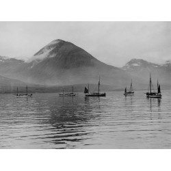 Icelandic Fjord