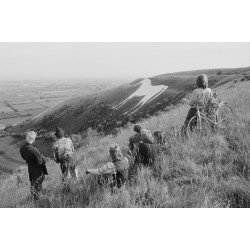 Westbury White Horse