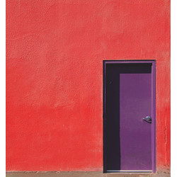 Purple Door