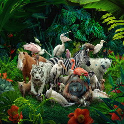 Big family in the forest