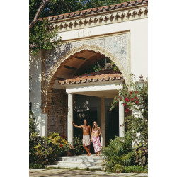 Palm Beach Habituees