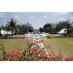 Paradise Island