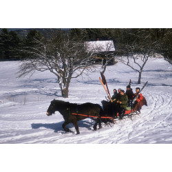 North Conway Sleigh