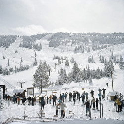 Skiing In Vail