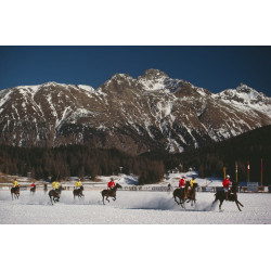 Polo World Cup