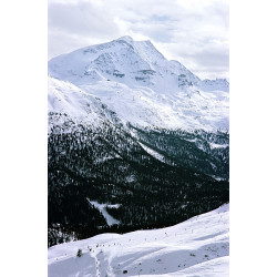Ski Slope In St. Moritz